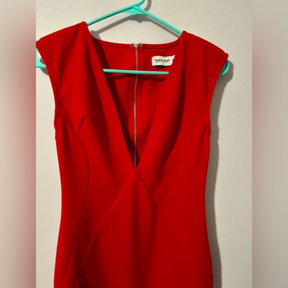 Tiger Mist Red mini Dress